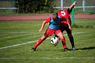 华体会app下载-中国足球俱乐部运营效率调查，中国足球俱乐部运营效率调查问卷