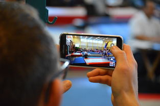 华体会下载-中国篮球联赛市场细分与精准营销研究，全国篮球联赛优势